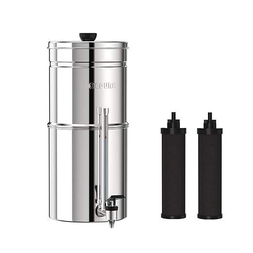 ICEPURE 2.25G Gravity-fed Water Filter System with Sight Glass Spigot, 304 Stainless Steel Countertop System, 2 Black Carbon Filters, Reduce 99% Chlorine, Lead for Home, Camping, Emergencies