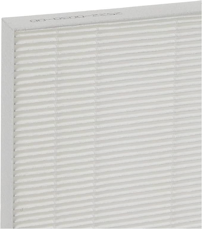 Genuine Winix 113050 Replacement Filter C for P150 Air Purifier, White