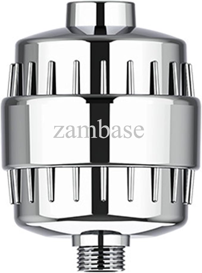 Shower Head Filter Reduction of Hard Water Chlorine & Heavy Metals to Soothe Dry Itchy Skin, Dandruff and Eczema for Healthier Skin & Hair Fits All Showers (Silvery)