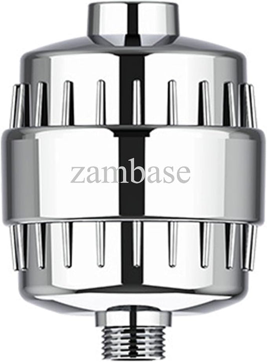 Shower Head Filter Reduction of Hard Water Chlorine & Heavy Metals to Soothe Dry Itchy Skin, Dandruff and Eczema for Healthier Skin & Hair Fits All Showers (Silvery)