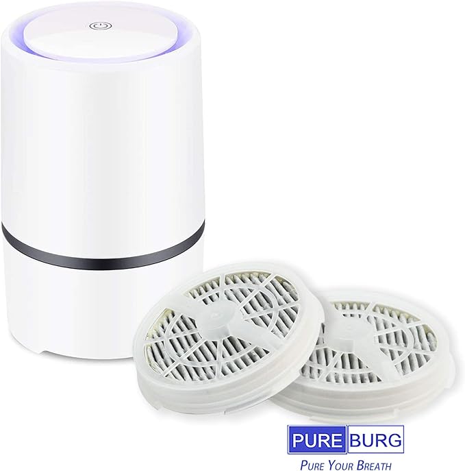 PUREBURG GL-2103 Replacement Filter Compatible with RIGOGLIOSO JINPUS MELEDEN Houzetek WSTA DHS COSTWAY & SY900S Air Purifiers,2-Pack HEPA Activated Carbon 2-in-1