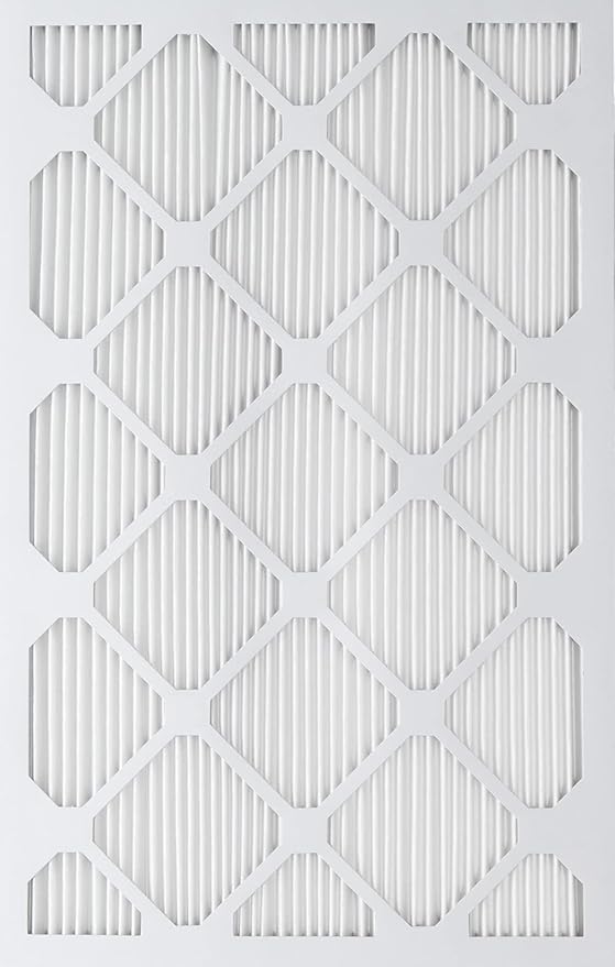 Nordic Pure 18x25x1 (Actual Size: 17 1/2 x 24 1/2 x 3/4) Tru Mini Pleat MERV 11 AC Furnace Air Filters – 2.5X More Media for Extended Durability & Superior Filtration - 2 Pack