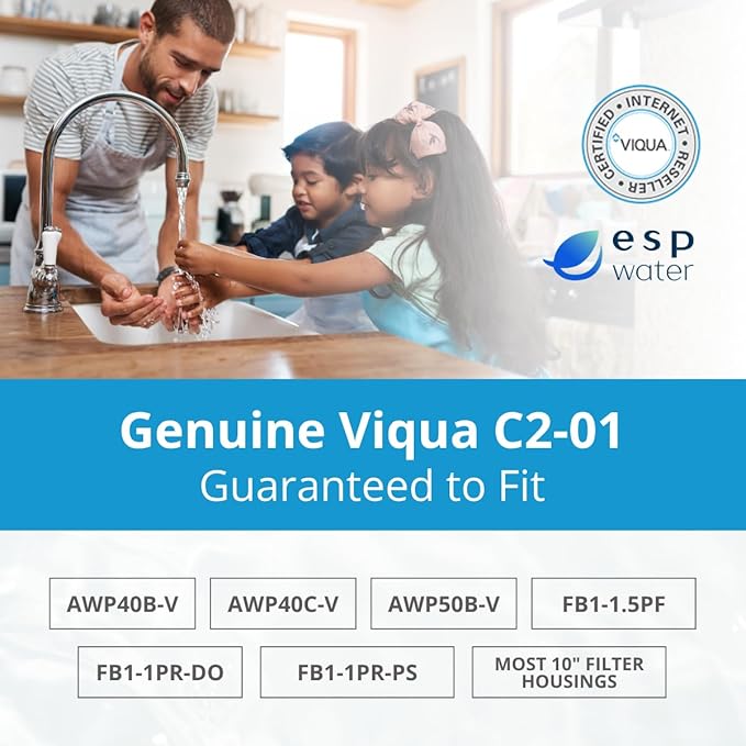 Viqua C2-01 Carbon Block Water Filter Cartridge – 10" x 4.5", 10 Micron, High Flow 6.5 GPM – Reduces Chlorine, Taste & Odor – Fits Standard 10-Inch Housings – NSF Certified