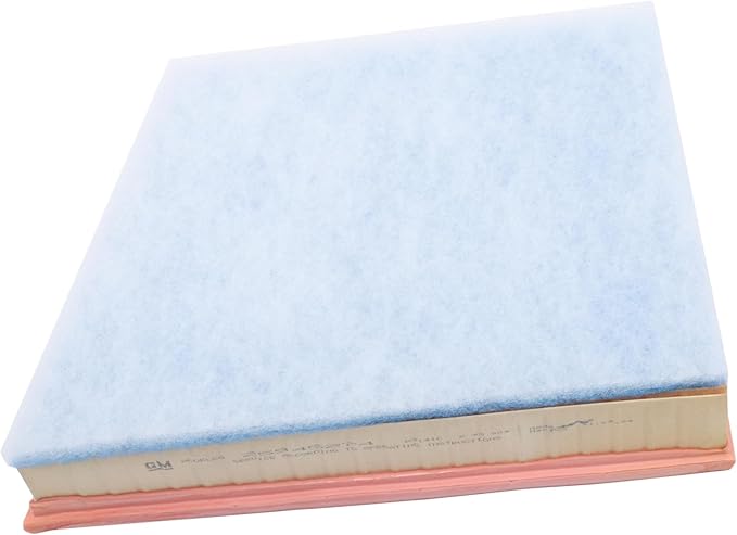 ACDelco GM Original Equipment A3141C (25945274) Air Filter