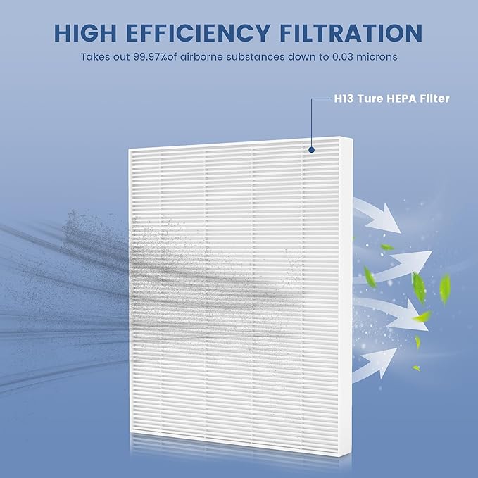 2 Pack C545 Replacement Filter Compatible with Winix C545 Air Purifier, H13 True HEPA Filter S Only, Part number 1712-0096-00