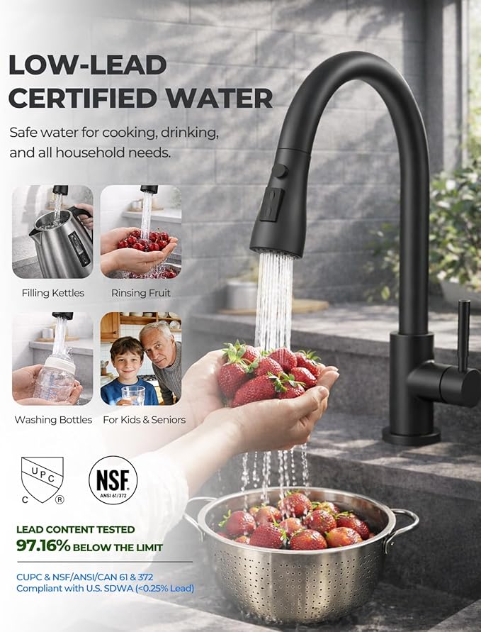 WEWE Kitchen Faucets with Pull Down Sprayer, Stainless Steel Single Handle 1 Hole for Family Kitchen Commercial Camper Laundry Rv Bar, Matte Black