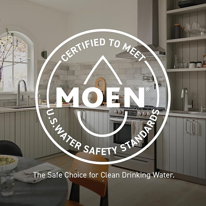 Moen 9601 ChoiceFlo Replacement Water Filter Compatible with Moen Sip Filtered Kitchen Faucets