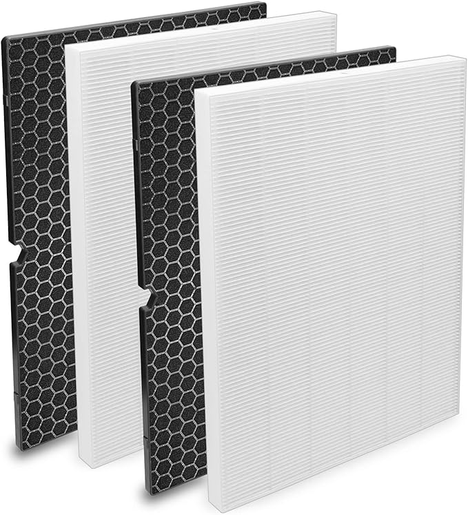 Colorfullife 2 Pack 116130 Replacement Filter H for Winix 5500-2 Air Purifier, 2 HEPA Filters and 2 Activated Carbon Filter Combo Pack