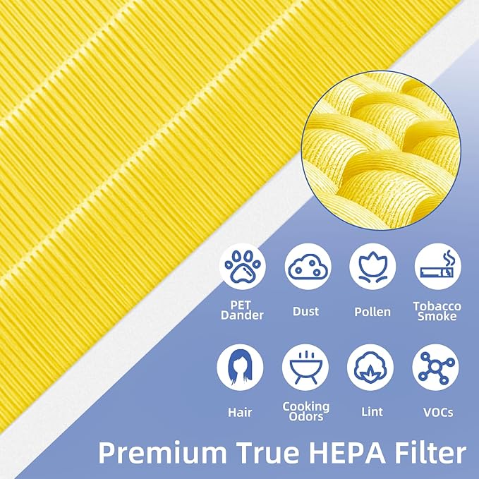 116131 Replacement Filter I for Winix C555 5500-2 Am80 Plasmawave Air Purifier True HEPA Carbon Filter,2 Set
