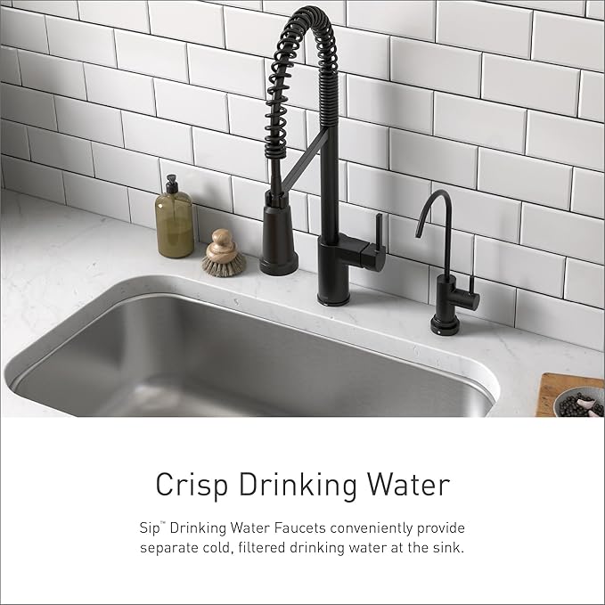 Moen Sip Chrome Traditional Drinking Water Beverage Faucet with Optional Filtration System, F7620