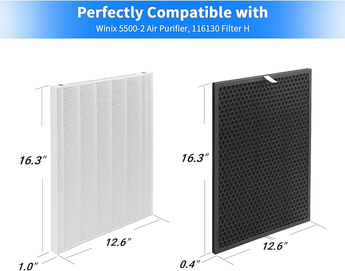 116130 Replacement Filter H Compatible with Winix 5500-2 Purifier and Models AM80, 2-Set Include 2×Filters + 2×Activated Carbon Filters