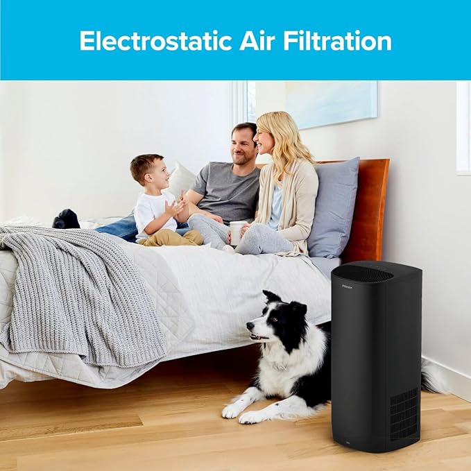 Filtrete F2 Room Air Purifier Filter, True HEPA Premium Allergen, Bacteria, and Virus, 13 in. x 8.2 in., 2-Pack, works with devices: FAP-C02, FAP-C03, FAP-SC02, and FAP-T03