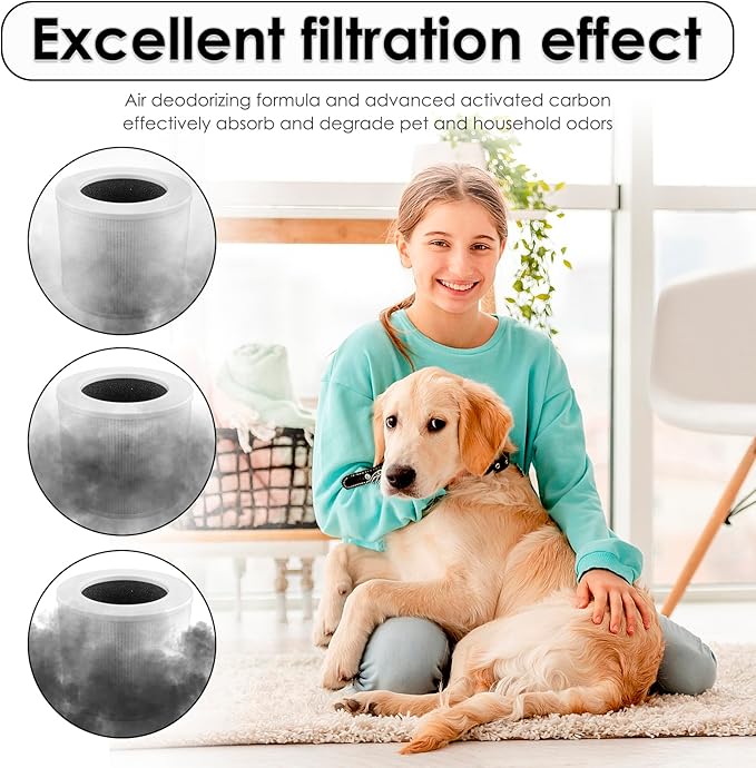 3 Pack Core Mini Replacement HEPA Filters for LEVOIT Core Mini Air Purifier, CoreMini H13 True Filter, 3-in-1 Filter, Activated Carbon Filters, Compared to Part # Core Mini-RF