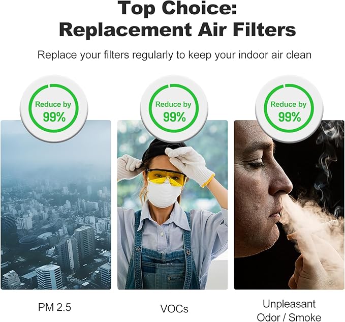 Replacement Filter Compatible with Coway Airmega 240 230 Air Purifiers,H13 HEPA Activated Carbon MAX2 2-IN-1 3-Stage Filtration Air Clean VOCs Odor，1 pack