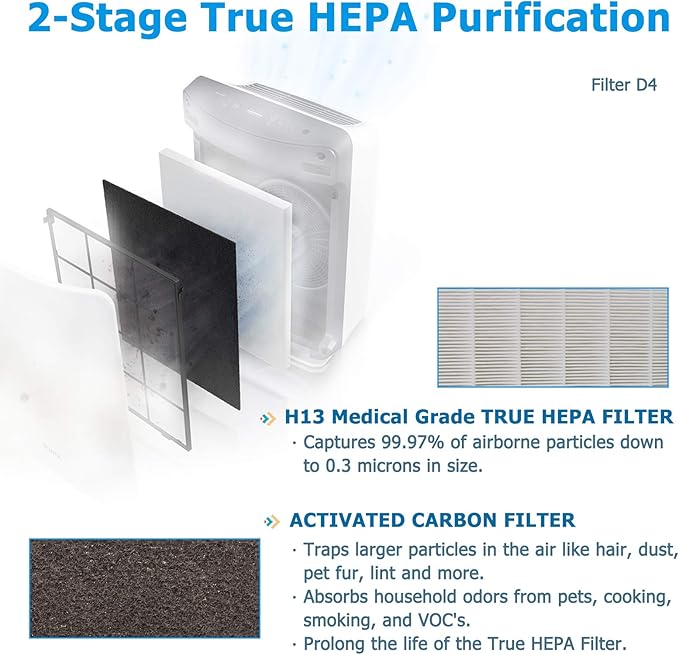 Flintar D480 Filter D4, Compatible with Winix D480 Air Purifier, H13 Grade Filtration and 4 Activated Carbon Filters, Item Number 1712-0100-02, D4-Filter