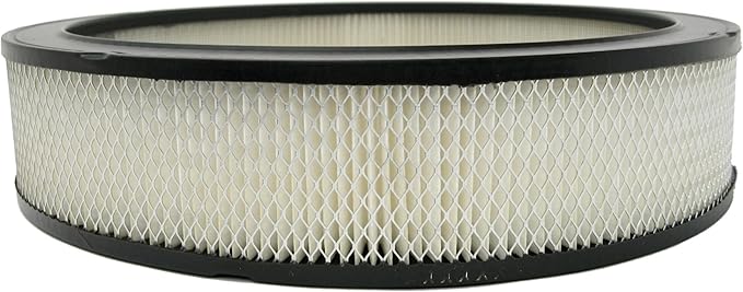 ACDelco GM Original Equipment A212CW (06421746) Air Cleaner Element