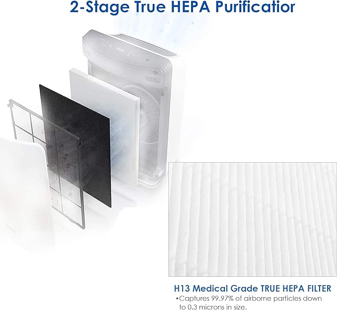 Flintar C545 Replacement Filter S, Compatible with Winix C545 Air Purifier, Part Number 1712-0096-00, H13 Grade Air Filters, 2-Pack