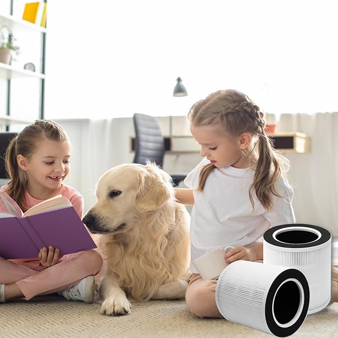 VK-6067B Replacement Filter, Compatible with Vremi Air Purifier and HOKEKI VK-6067B Air Purifier, Compare to Vremi Replacement Filters, 4-in-1 H13 Grade True HEPA Filter, 2 Pack