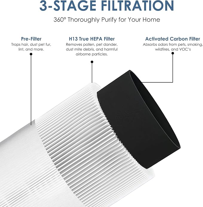 Flintar HEPA Replacement Filter, only Compatible with Coway Airmega 100 Air Purifier, 3-in-1 Pre-filter, H13 True HEPA and Deodorization Filter Set (2- Pack)