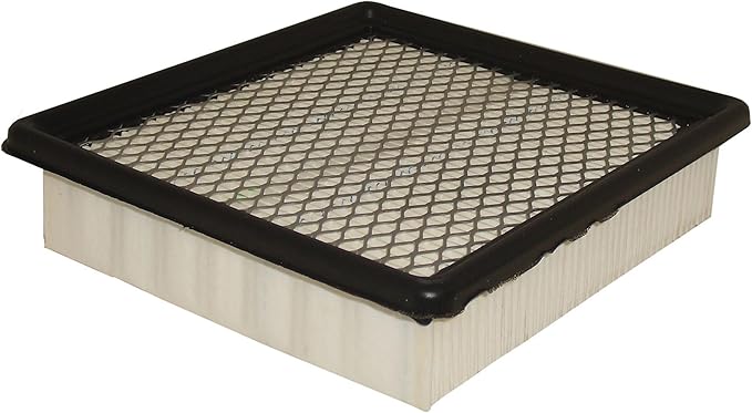 ACDelco GM Original Equipment A3148C (20871244) Air Filter