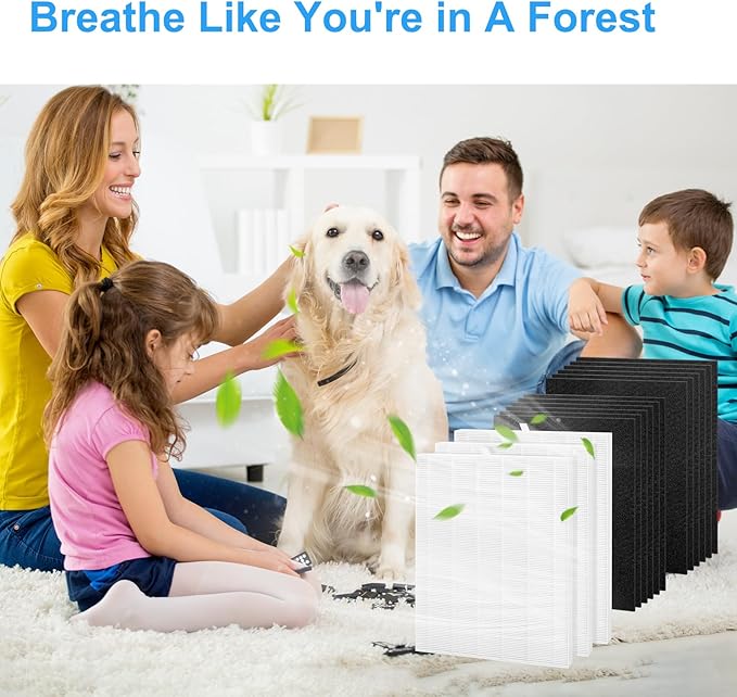 3+12 D360 Filter Replacement D3 Compatible with Winix D360 Air Purifier,Part # 1712-0101-02 Model，D360 HEPA Filter Replacement 3 True HEPA Filters + 12 Activated Carbon Pre-Filter. (3+12Set)