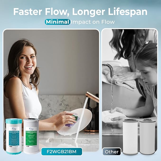 iSpring F2WGB21BM Whole House 4.5"x10" Water Filtration CTO Carbon Block and Iron and Manganese Reducing Water Filter Replacement Cartridge Pack Set