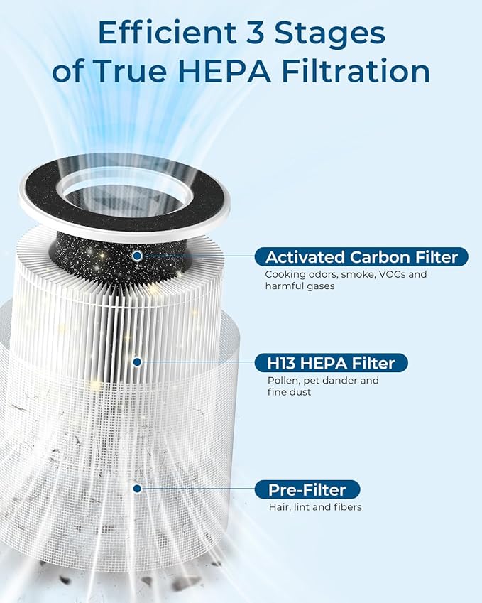 Official Genuine AP02 Replacement Filter TRUE HEPA Filter, High-Efficiency Activated Carbon Filter Replacement Suitable for WESTHEY AP02 Air Purifier, 1 Pack(White)