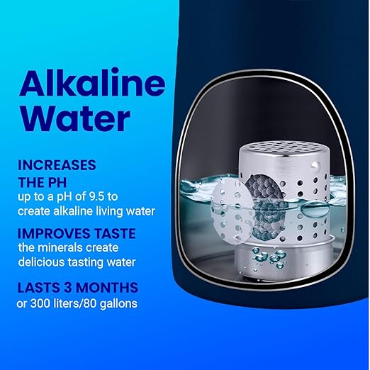 DYLN VitaBead Diffuser | Creates Hydrogen-Rich, pH 9+ Alkaline Antioxidant Water | Replacement for DYLN Bottle | Natural Mineral Ionized Hydrogen Generator for Delicious Tasting Water | 1-Pack