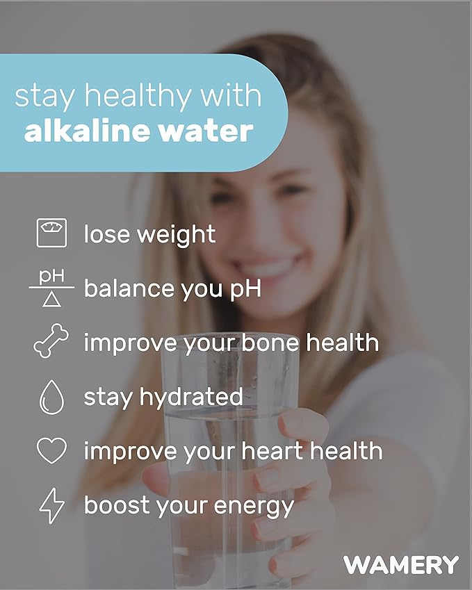 Wamery Alkaline Pitcher Water Filter Replacement - Single Filter, Improves pH & Taste, 42-Gallon Capacity, Coconut Activated Carbon with Mineral Layer, Leak-Free Fit, Easy Install, BPA-Free