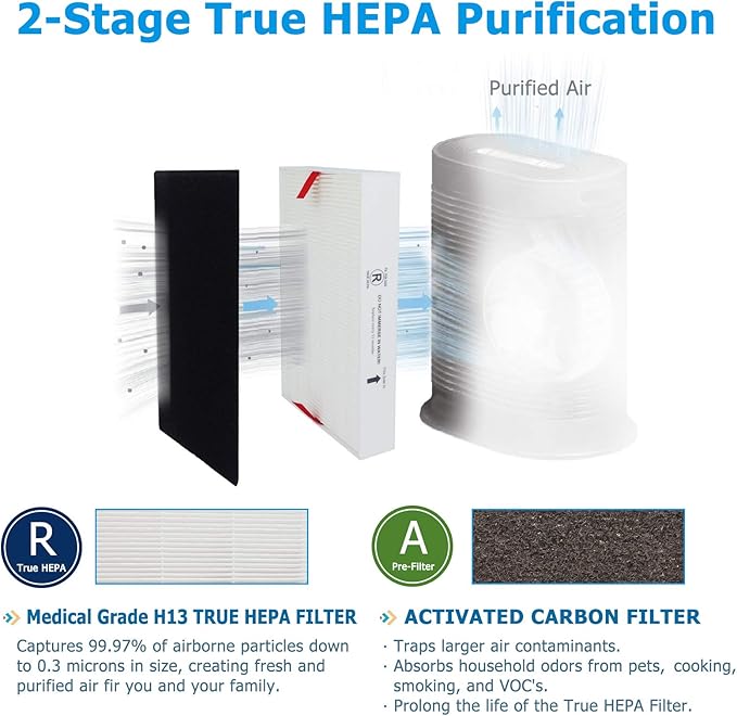 Flintar HPA200 Replacement Filter, Compatible with Honeywell Air Purifier HPA200 Series, (2) H13 Grade R-Filter + (4) Activated Carbon Fil-ter A