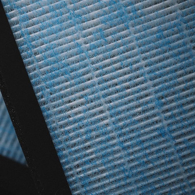 VION Model 3/Y HEPA Activated Carbon Air Filters - 2 packs with the Model 3 and Model Y removal tools