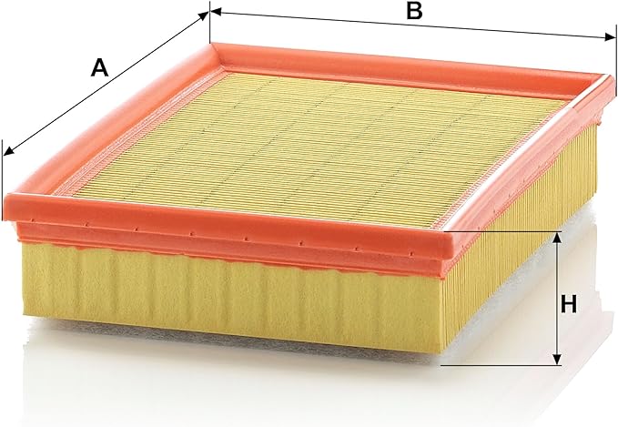 Mann Filter C 25 114/1 Engine Air Filter Replacement With Prefilter Compatible With Select BMW 3 Series (1992-1995, 1999-2006), M3 (2001-2006), 5 Series (2000-2003), Z3, Z4, M Coupe