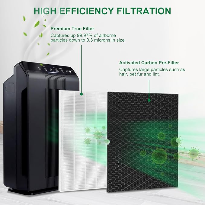116130 Filter H Replacement for Winix 5500-2 Air Purifier and Models AM80-2, Includes 1 Pack Ture Filters and 1 Pack Activated Carbon Pre-filters (1 Sets)