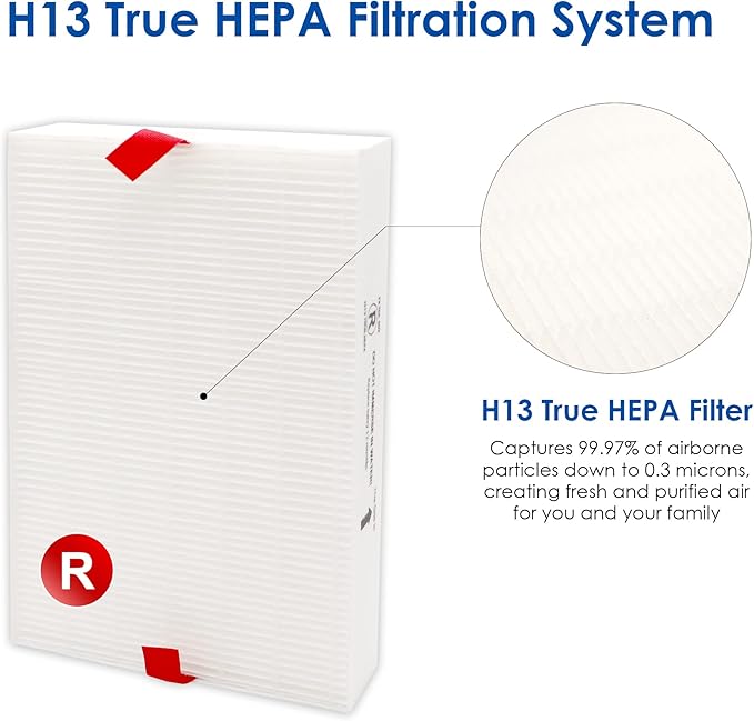 Flintar Replacement Filter R, Compatible with Honeywell Air Purifier HPA300, HPA200, HPA 100 and HPA 5000 Series, HRF-R6, 6-Pack