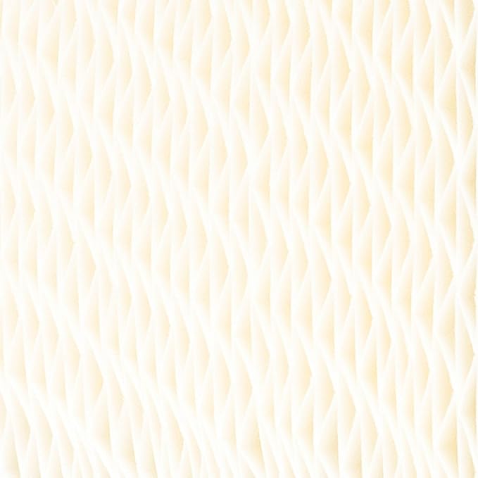 AIRCARE HDC12 Replacement Wicking Humidifier Filter (2)