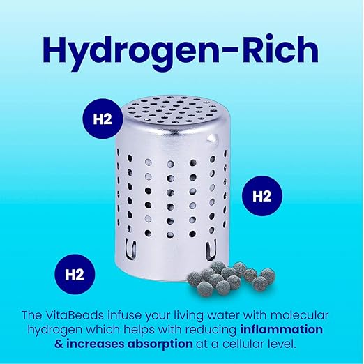 DYLN VitaBead Diffuser | Creates Hydrogen-Rich, pH 9+ Alkaline Antioxidant Water | Replacement for DYLN Bottle | Natural Mineral Ionized Hydrogen Generator for Delicious Tasting Water | 1-Pack
