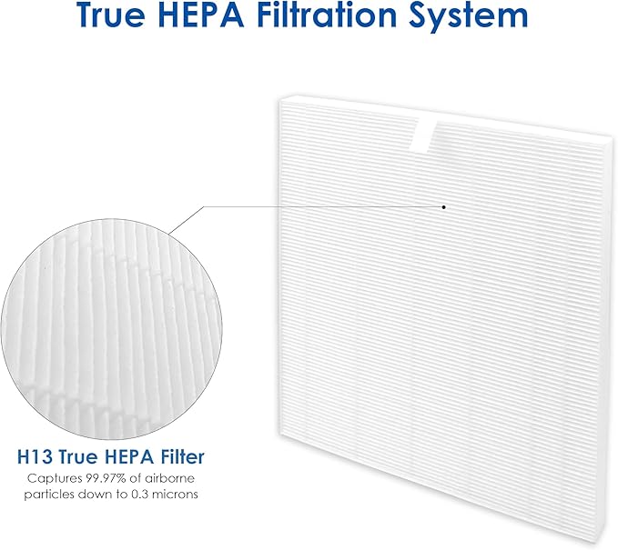 Flintar C545 Replacement Filter S, Compatible with Winix C545 Air Purifier, Part Number 1712-0096-00, H13 Grade Air Filters, 2-Pack