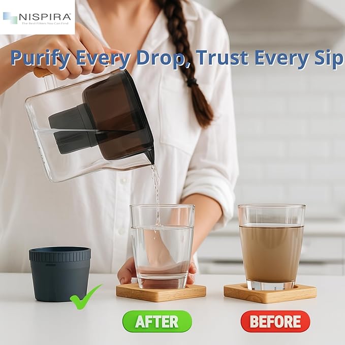 Nispira Water Pitcher Filter Replacement for Epic Nano Pitcher Removes Chlorine, Lead, Odor and More 150 Gallon, 2 Packs