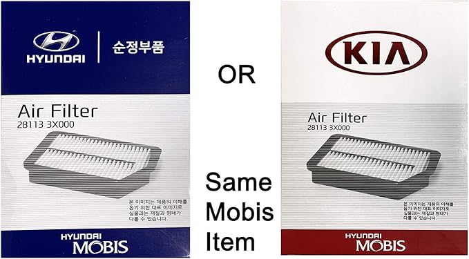 HYUNDAI Genuine (28113-3X000) Air Filter
