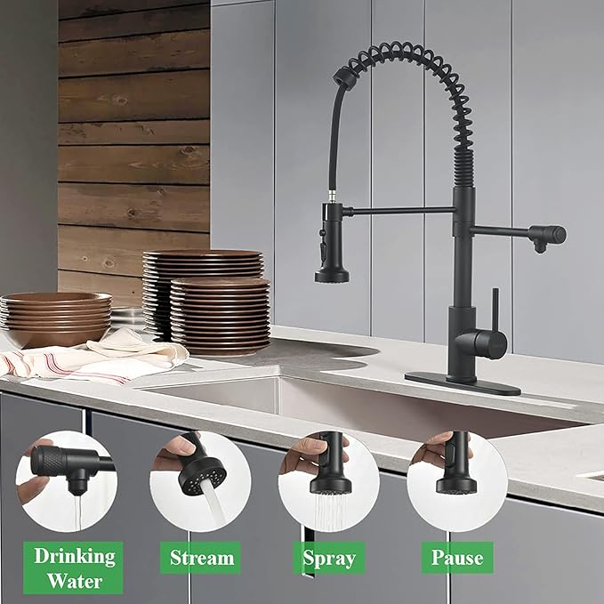 Drinking Water Faucet, Pull-Down Kitchen Sink Water Filtration Faucet, Bar Water Filter Faucet, Matte Black, Stainless Steel, PAKING PB1030