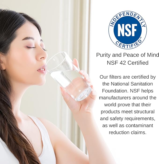 PureT CBPB Lead Reduction Water Filter - NSF Certified - Carbon Block Lead Reduction Filter (.5 u Micron Rated) (4.5" x 20")