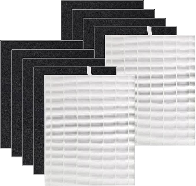 D480 Replacement Filter D4, Compatible with Winix D480 Air Purifier, Includes 2 pcs H13 Grade True HEPA and 8 pcs Activated Carbon Filters, D4 Filter Part Number 1712-0100-00