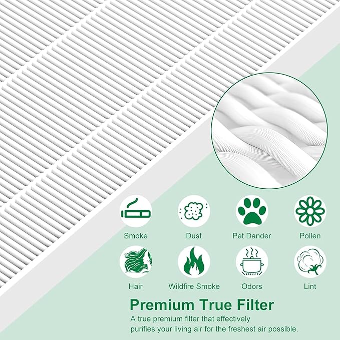 116130 Replacement Filter H for Winix 5500-2 AM80 Air Purifier True Activated Carbon Pre-Filters 2 Pack Washable Advanced Control Filter and 2 Pack PlasmaWave Odor Reducing Carbon Filters