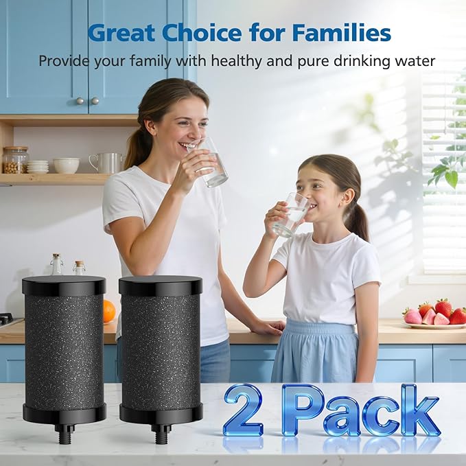 2387 Pro Filter Replacement, NSF Certified for Alexapure 2387 Pro Water Filter, 5,000 Gallon Throughput Capacity Compatible with Alexapure Pro Water Filtration System, 2 Pack Black