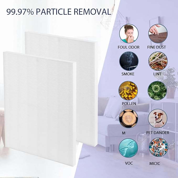 D480 Replacement Filter D4 Compatible with Winix D480 Air Cleaner Purifier Ture HEPA Only, Item Number 1712-0100-00, D4 Filter 2 Pack