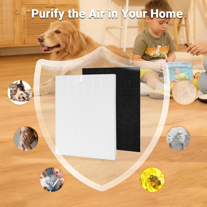 Compatible with Winix D480 Air Purifier,D480 True HEPA Replacement Filter D4,1712-0100-00,2PCS H13 True HEPA Filter+8PCS Activated Carbon Filters(2+8)