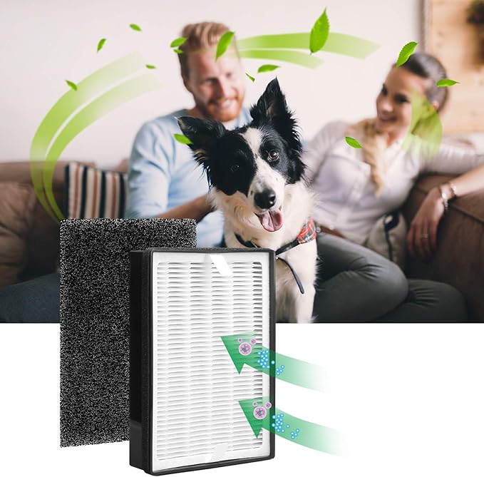H126 Replacement HEPA Filter, Compatible with Levoit LV-H126, Includes 2 HEPA Filters and 8 Activated Carbon Pre-Filters Set, LV-H126-RF