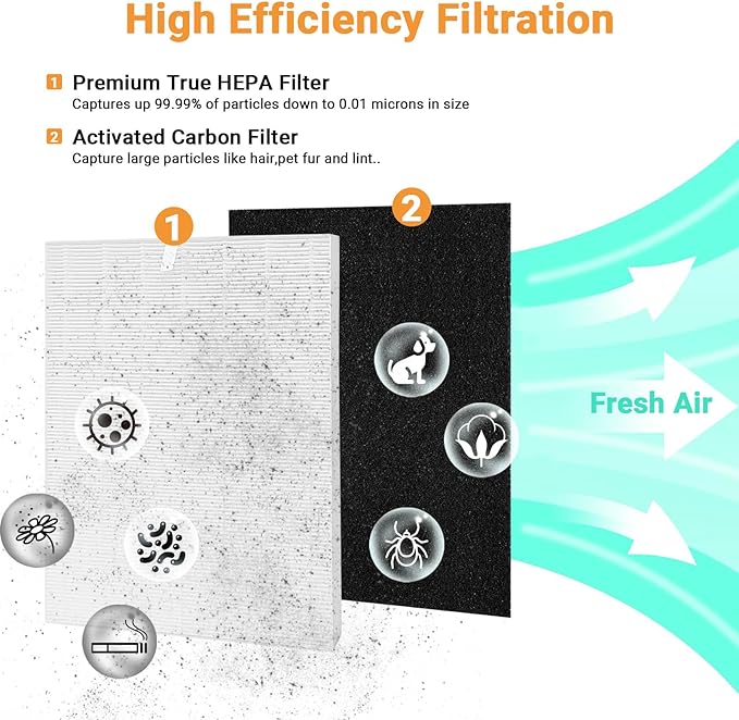 Compatible with Winix D480 Air Purifier,D480 True HEPA Replacement Filter D4,1712-0100-00,2PCS H13 True HEPA Filter+8PCS Activated Carbon Filters(2+8)