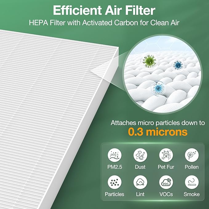 AeraMax 300 Hepa Filter Set Compatible with Fellowes AeraMax 290/300/DX95 Air Purifiers, HF-300/AP-300PH, Part# 9287201, Includes 2 Hepa Filters + 6 Activated Carbon Pre-filters