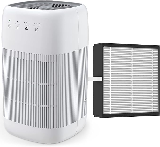 Afloia Efficient Filter for Q10 Air Purifier and Dehumidifier 2-in-1 (Air Purifier Q10 Filter Replacement)